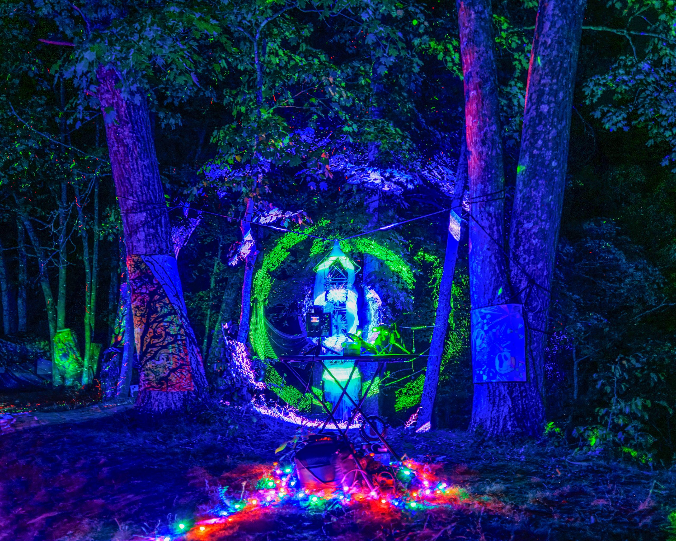 Forest portal installation ringed with green laser light