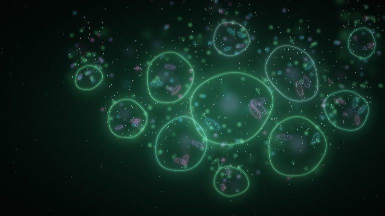 Biophotons Explained